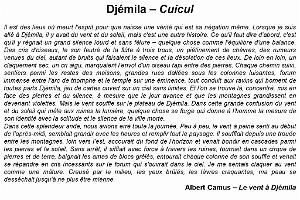 078 ARCHEOLOGIE AERIENNE_000018